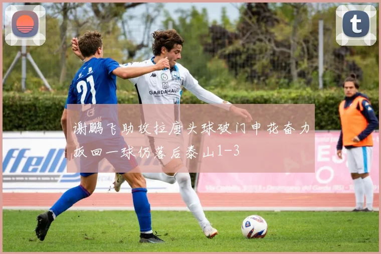 谢鹏飞助攻拉唐头球破门申花奋力扳回一球仍落后泰山1-3